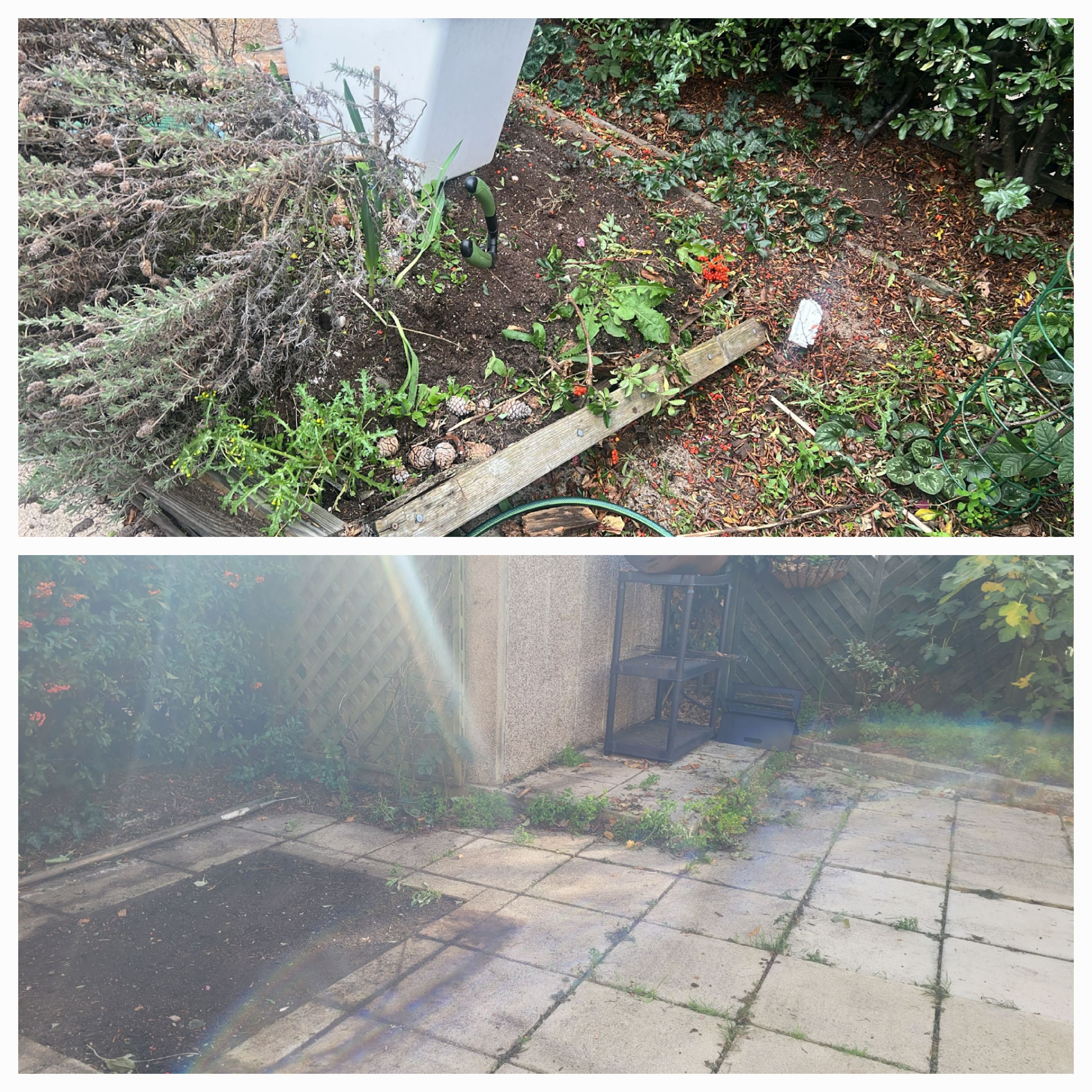 Garden Transformation - Before and After